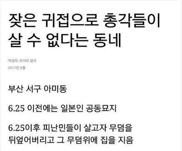BADA.TV 바다티비
