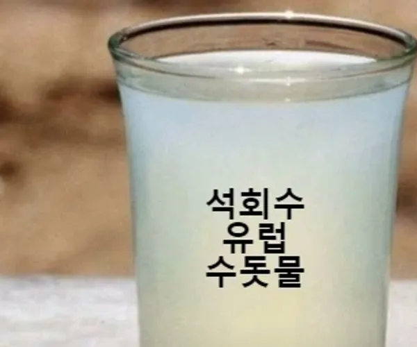 BADA.TV 바다티비