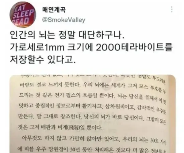 쩌는 인간의 뇌.jpg