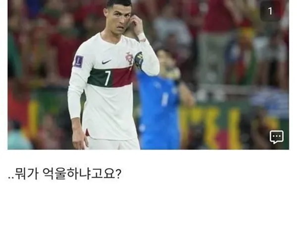 BADA.TV 바다티비
