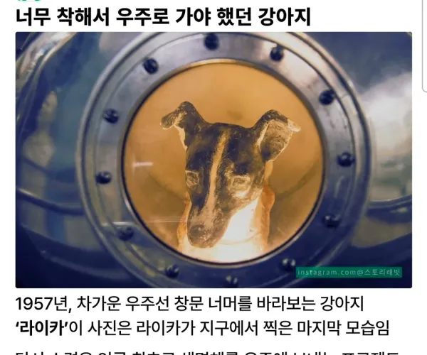 BADA.TV 바다티비