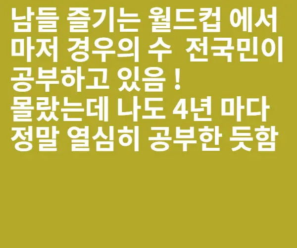 BADA.TV 바다티비