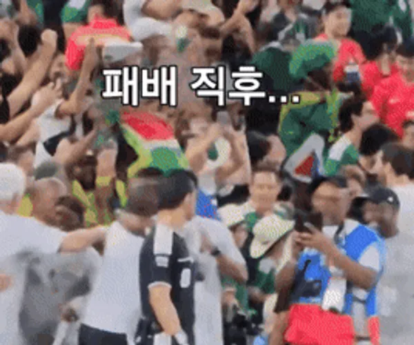 BADA.TV 바다티비
