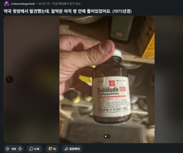 BADA.TV 바다티비