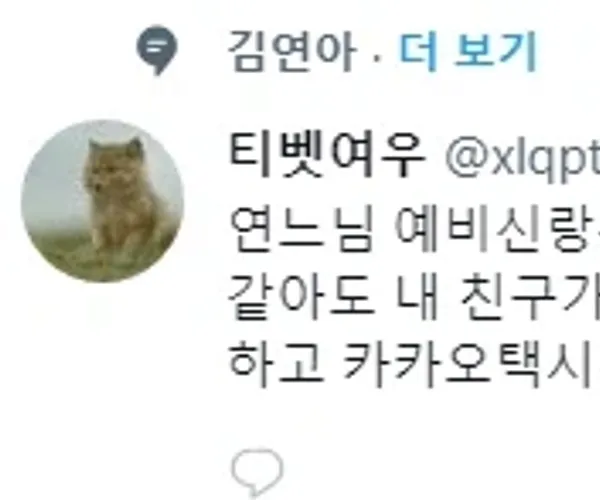 BADA.TV 바다티비
