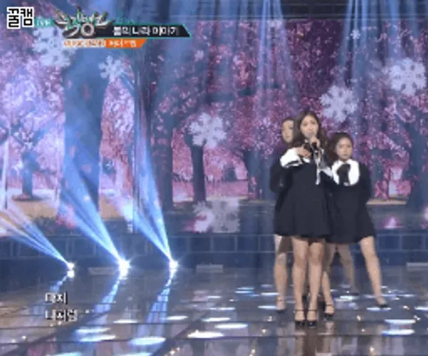 BADA.TV 바다티비