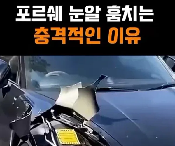 BADA.TV 바다티비