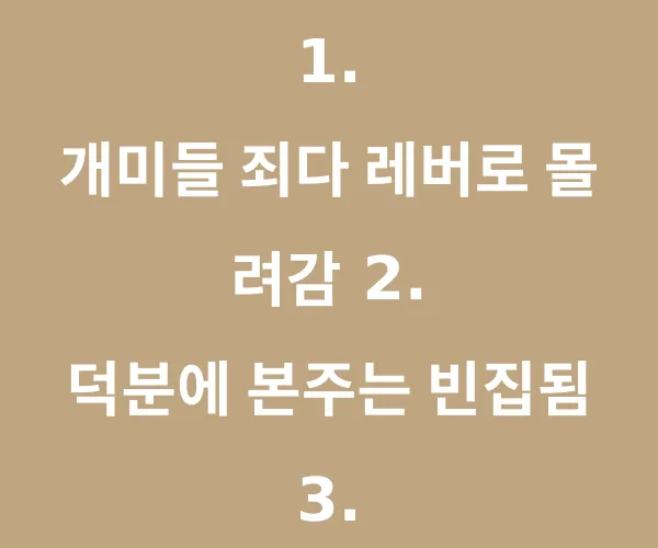 BADA.TV 바다티비