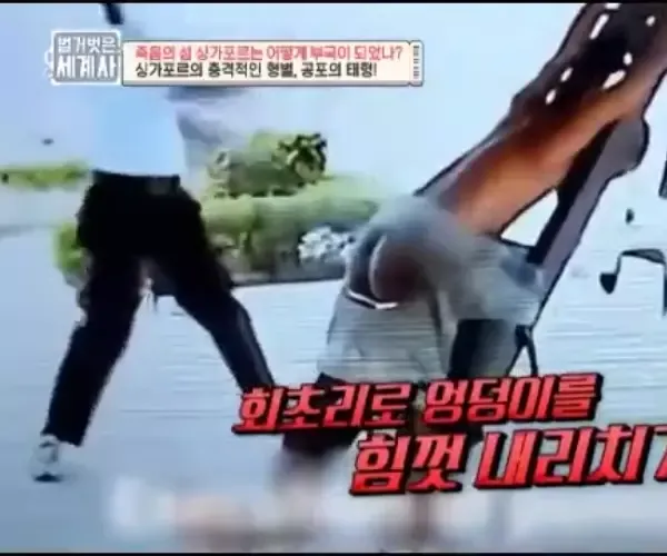 BADA.TV 바다티비