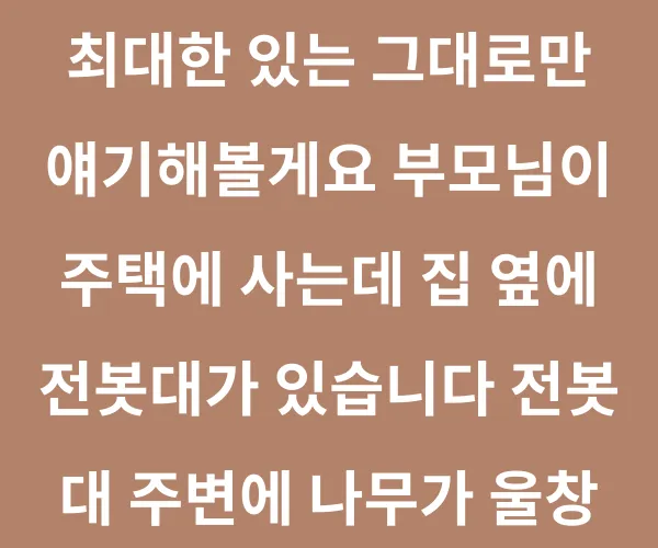BADA.TV 바다티비
