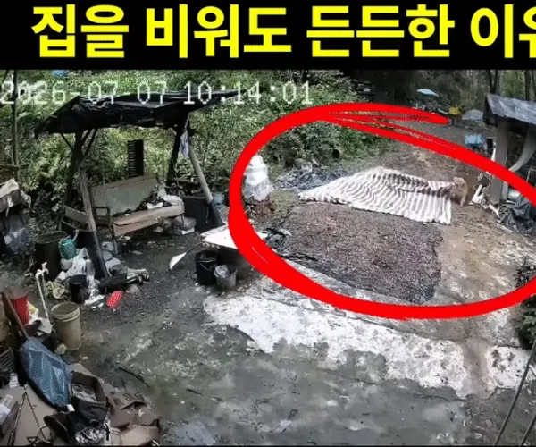 BADA.TV 바다티비
