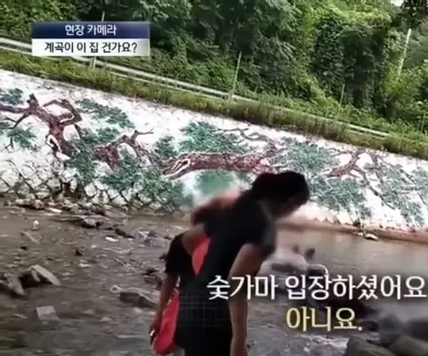 BADA.TV 바다티비