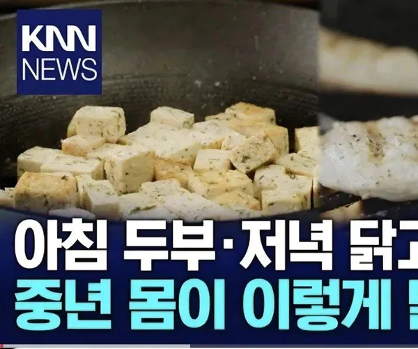 BADA.TV 바다티비