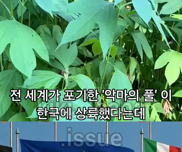 BADA.TV 바다티비