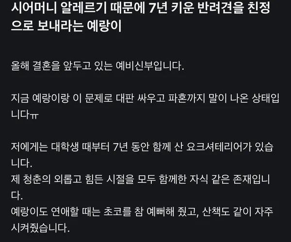 BADA.TV 바다티비
