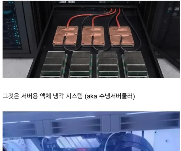 BADA.TV 바다티비