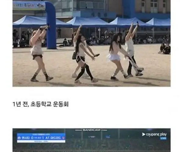 BADA.TV 바다티비