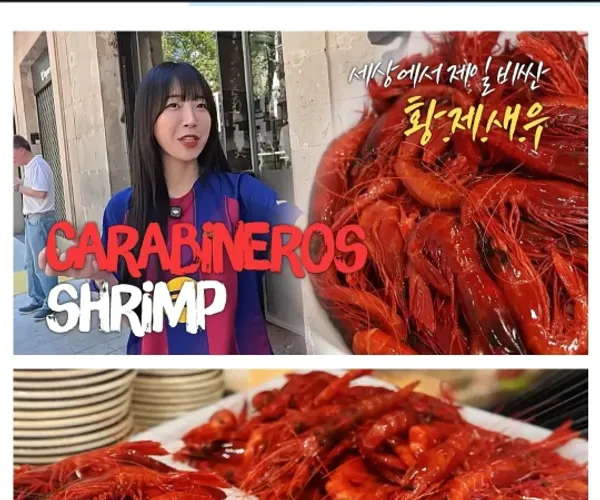 BADA.TV 바다티비