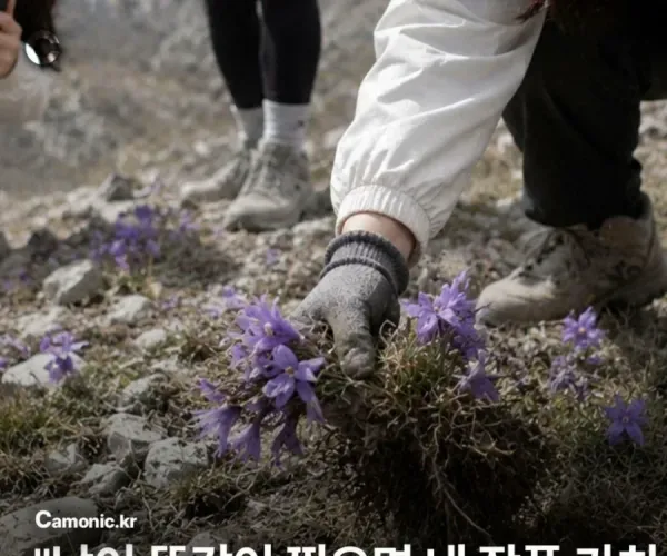 BADA.TV 바다티비