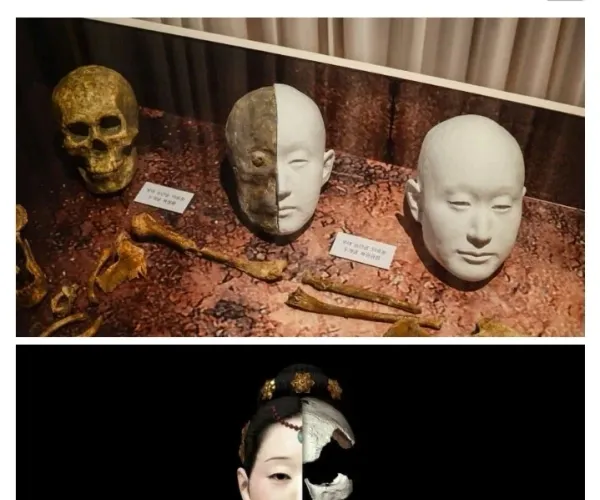 BADA.TV 바다티비