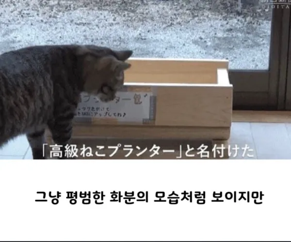 BADA.TV 바다티비