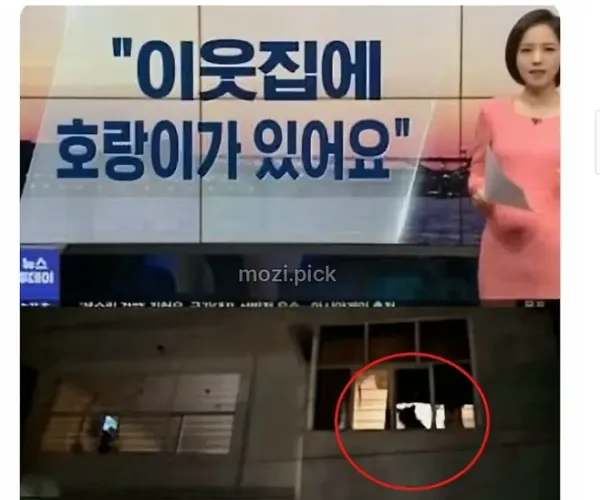 BADA.TV 바다티비