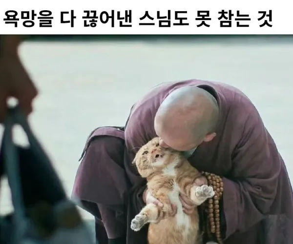 BADA.TV 바다티비