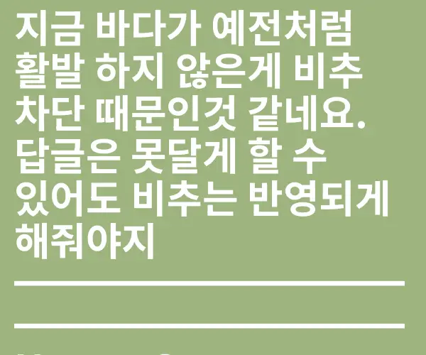 BADA.TV 바다티비
