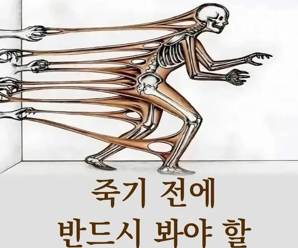 BADA.TV 바다티비