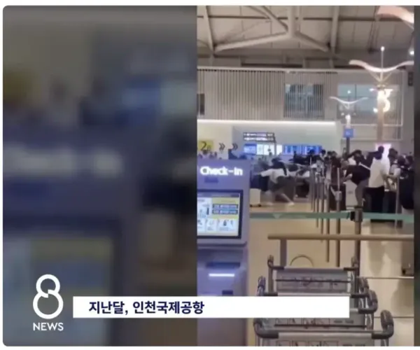 BADA.TV 바다티비