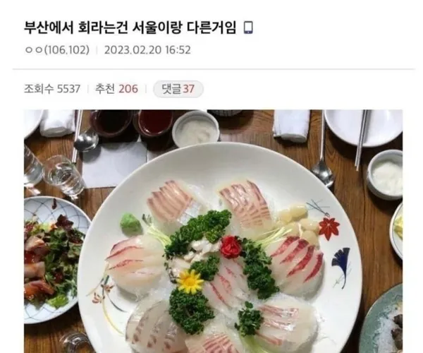 BADA.TV 바다티비