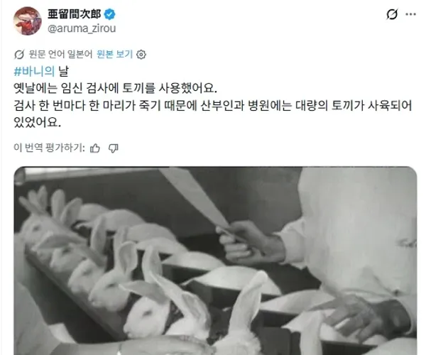 BADA.TV 바다티비