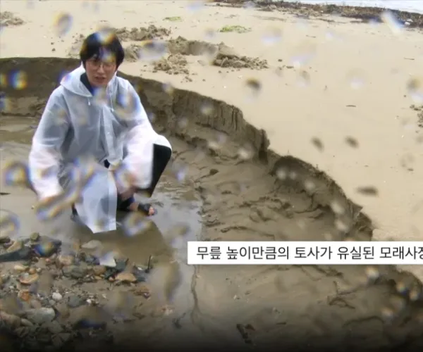 BADA.TV 바다티비