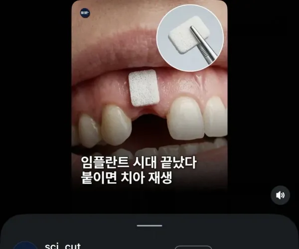 BADA.TV 바다티비