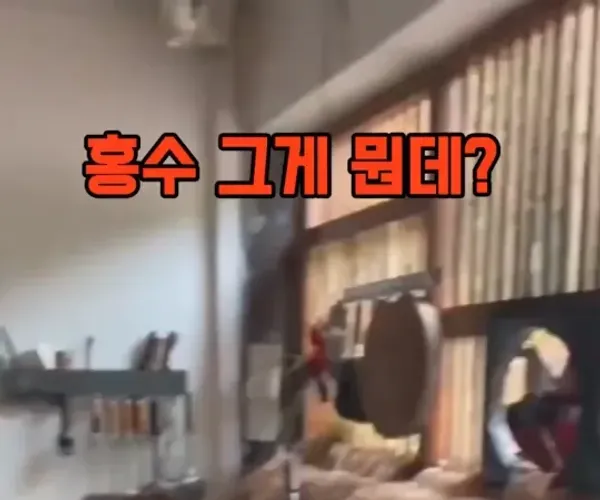 BADA.TV 바다티비