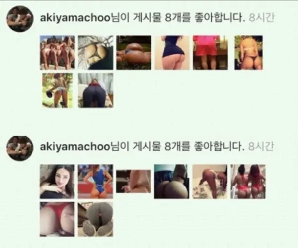 BADA.TV 바다티비