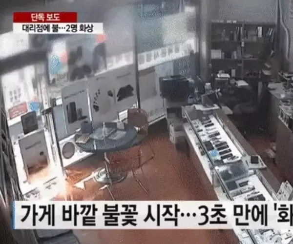 BADA.TV 바다티비