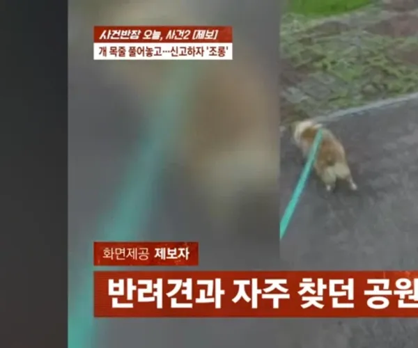 BADA.TV 바다티비