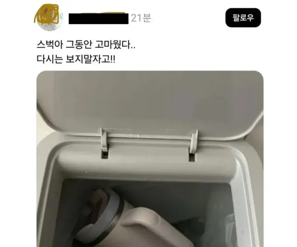 BADA.TV 바다티비