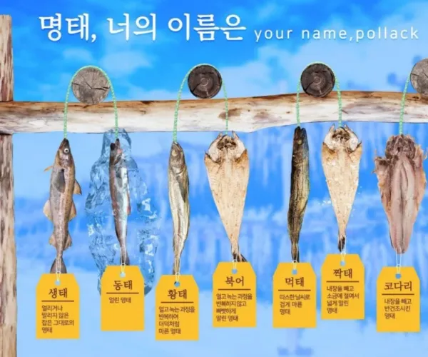 BADA.TV 바다티비