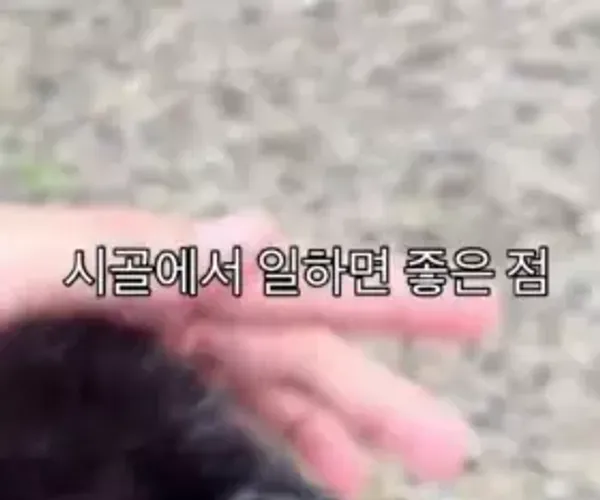 BADA.TV 바다티비