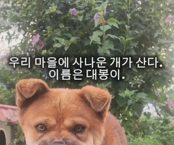 BADA.TV 바다티비