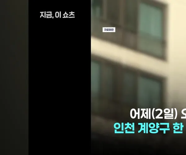 BADA.TV 바다티비