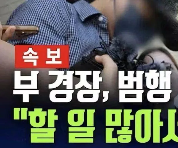 BADA.TV 바다티비