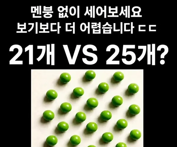 BADA.TV 바다티비