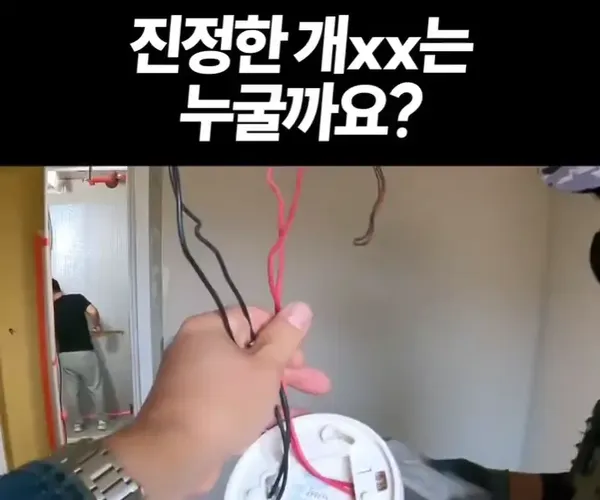 BADA.TV 바다티비