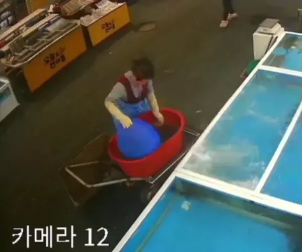 BADA.TV 바다티비