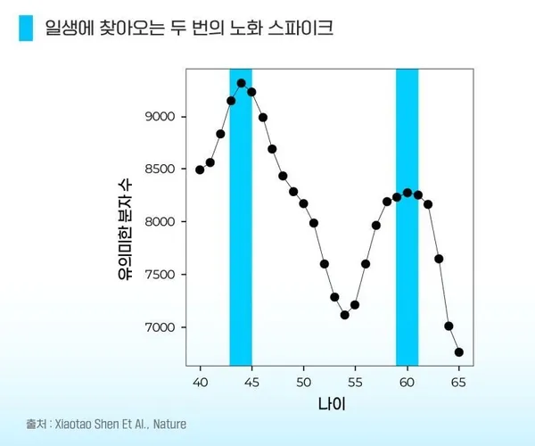 BADA.TV 바다티비