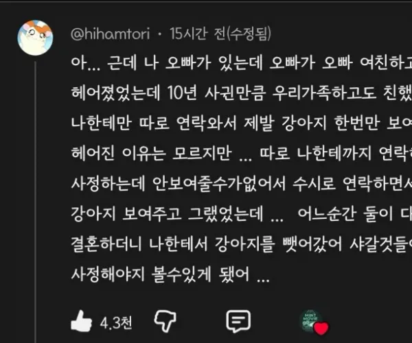 BADA.TV 바다티비
