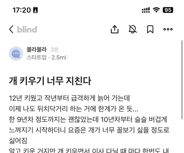 BADA.TV 바다티비